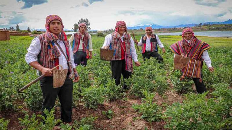 anuncio agri1 768x432