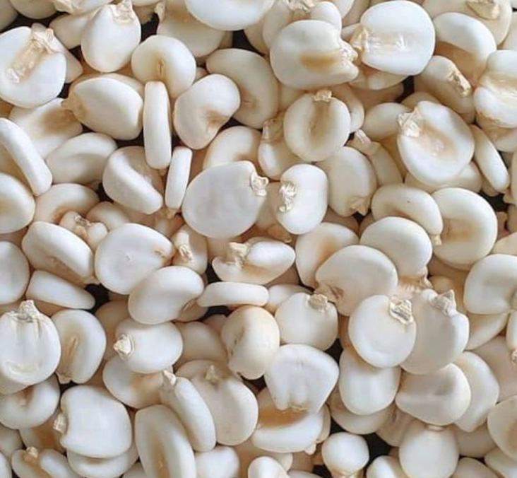 maiz blanco